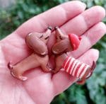 set-brose-handmade-polymer-clay-fimo-catel-eva-art-