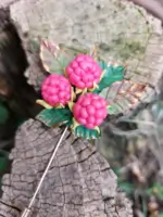 brosa pin lung zmeura handmade