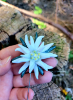 brosa cu pin lung floare de colt
