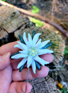 brosa cu pin lung floare de colt