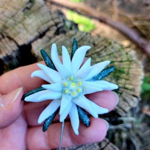 brosa cu pin lung floare de colt