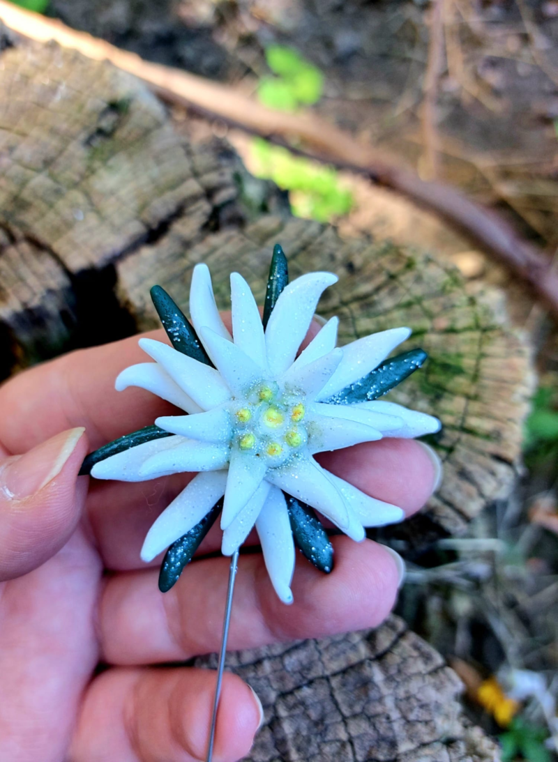 brosa cu pin lung floare de colt
